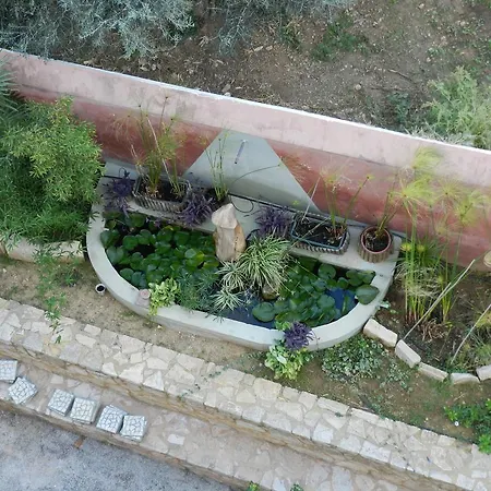 Daire Pentari-bitsakis House