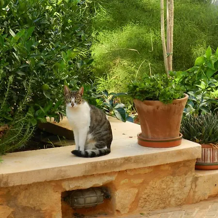 Pentari-bitsakis House דירה חאניה