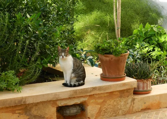 Pentari-bitsakis House Apartment Chania (Crete)