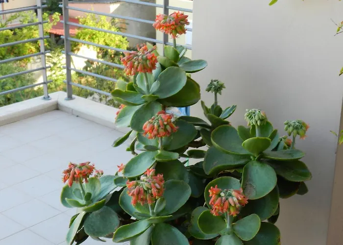 아파트 Pentari-bitsakis House 하니아